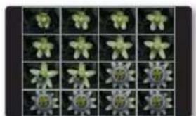 SAMSUNG SMXF50SP - PROTECT (Protégé) - 7