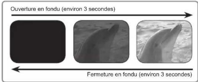 SAMSUNG SMXF50SP - FADER (Fondu) - 4