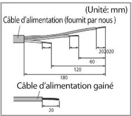 (Unité: mm) Câble d'alimentation (fournit par nous ) 20,20 60 120 180 Câble d'alimentation gainé 20