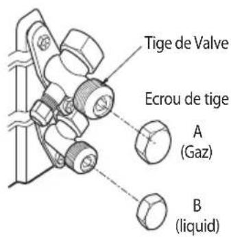 Tige de Valve Ecrou de tige A (Gaz) B (liquid)