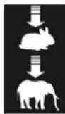 Bell Logic - - Iconographie - 14