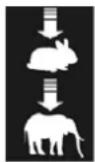 Bell Logic - - Iconografia - 14