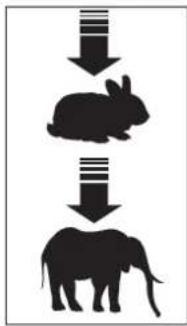 Bell Logic - 7