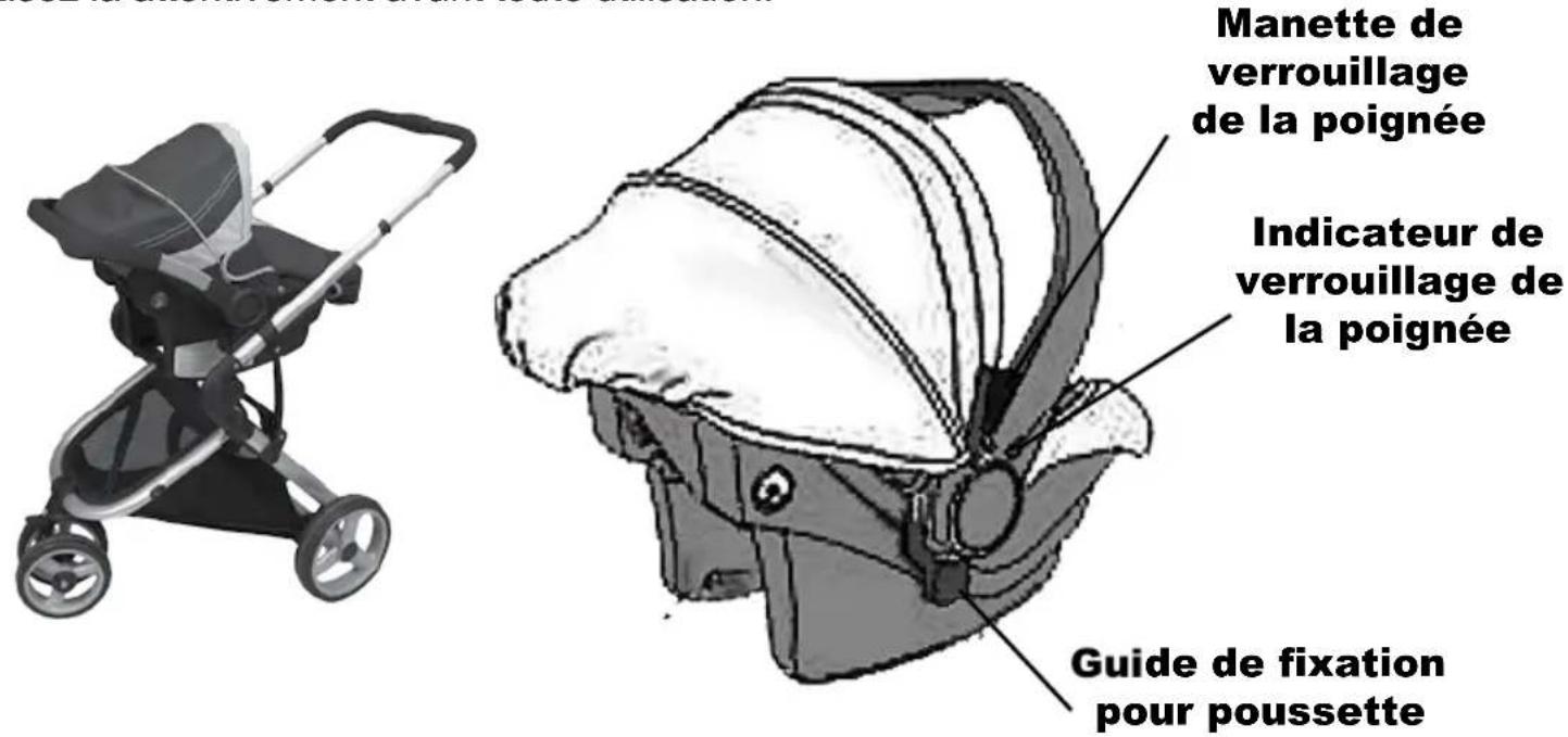 Babybus Safari - REFERENCE - 1