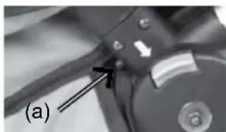 Babybus Safari - MONTAGE DU GARDE CORPS - 1