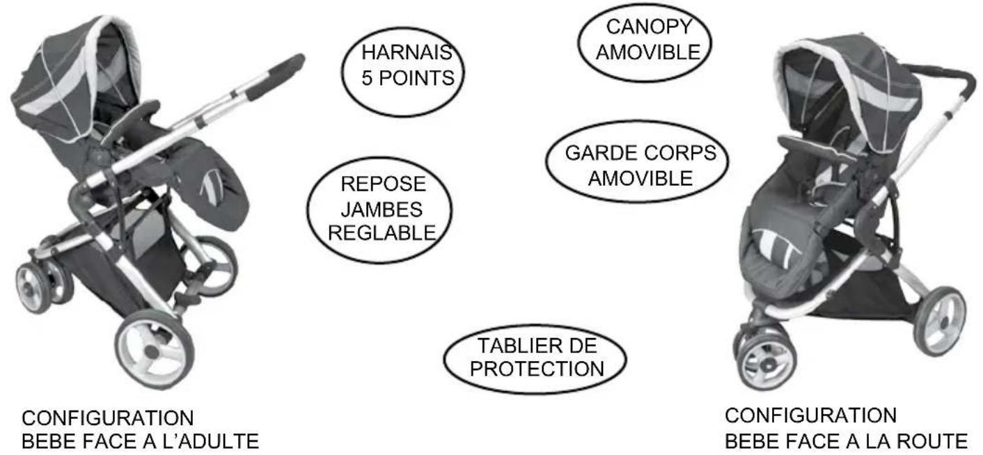 Babybus Safari - PLIAGE DU CHASSIS - 3