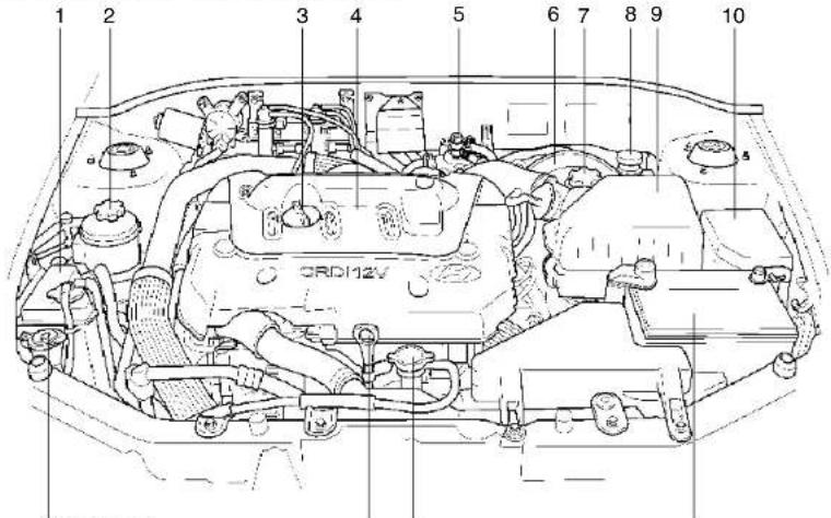 HYUNDAI Accent (2004) - GO10D01A-GUT COMPARTIMENT MOTEUR (DIESEL) - 1