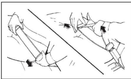 NISSAN Cabstar (2014) - △aioTowvwoovaoqaeia - 1