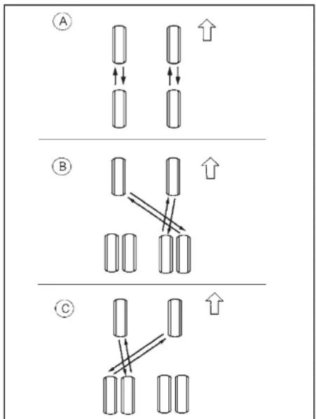 NISSAN Cabstar (2014) - IPOZOxH - 1