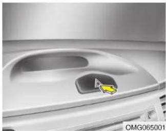 KIA Optima (2008) - CLIGNOTANT DES FEUX DE DETRESSE - 1