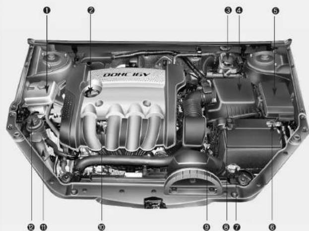 KIA Optima (2008) - COMPARTIMENT MOTEUR - 1