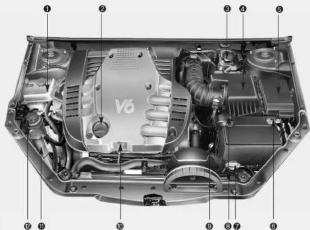 KIA Optima (2008) - COMPARTIMENT MOTEUR - 2