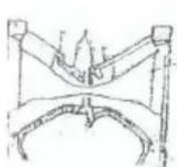 Topmark Parker T7039 - UITKLAPPEN - 2