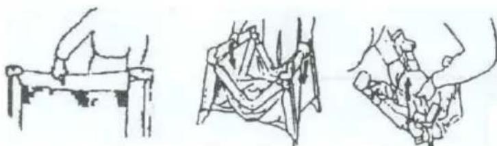 Topmark Parker T7039 - TO FOLD - 1