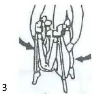 Topmark Charlie T7034 - PARA PLEGAR - 3