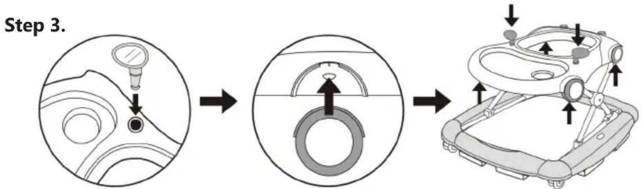 Baninni Foriano BN151 - Step 2. - 2