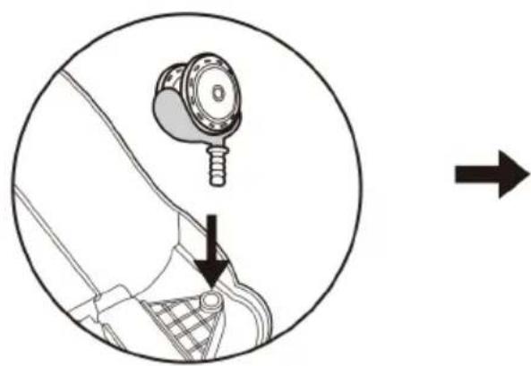 Baninni Foriano BN151 - Step 1. - 1