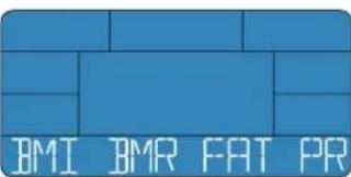 Energetics Exercise Monitor E205 - BMI-BMR-fett - 1