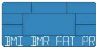 Energetics Exercise Monitor E205 - BMI-BMR-λiio - 1