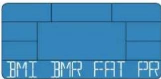 Energetics Exercise Monitor E205 - BMI-BMR-kropsfedt - 1