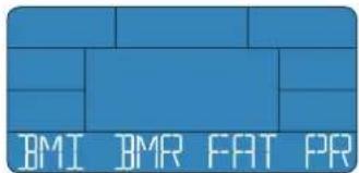 Energetics Exercise Monitor E205 - BMI-BMR-tuk - 1