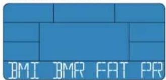 Energetics Exercise Monitor E205 - Programme IMC-BMR-Masse Graisseuse - 1