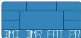Energetics Exercise Monitor E205 - IMI-IMR-FAT PROG - 1