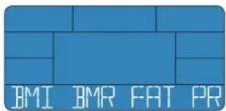 Energetics Exercise Monitor E205 - BMI-BMR-grasso - 1