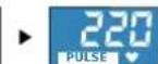 Energetics Exercise Monitor E205 - PULSE utrip - 4