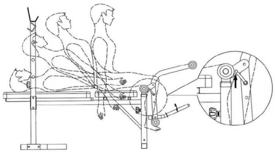 Energetics Basic Bench 1.1 - Lasbenträningen vid situps - 1