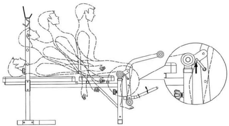 Energetics Basic Bench 1.1 - Sikring af Leg Developer under ovelse sidde-ligge - 1