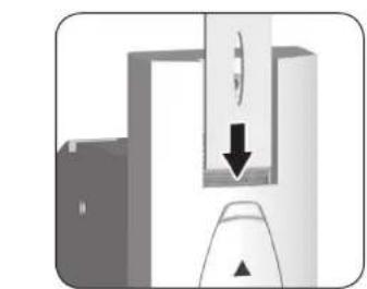 Superrollo GW195 - Mise en place et fixation de la sangle - 2
