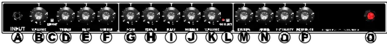 FENDER Pro - Panneau avant - 1
