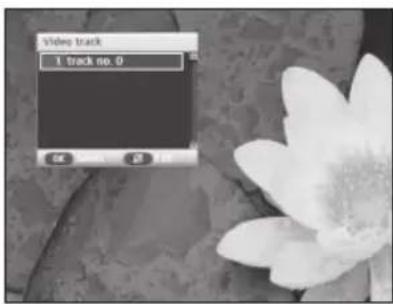 SAMSUNG DCBP850R - Select video track - 1