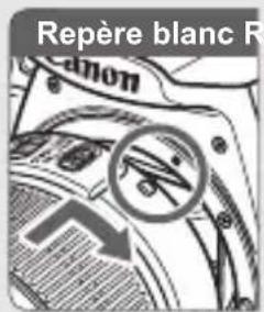 CANON EOS Rebel T7 - Insérez la carte (p. 28). - 1