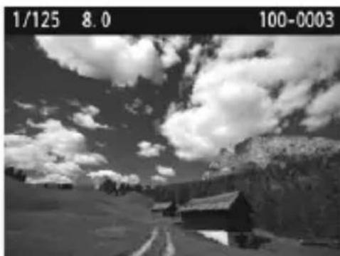 CANON EOS Rebel T7 - Menu Functions Captured Image - 2