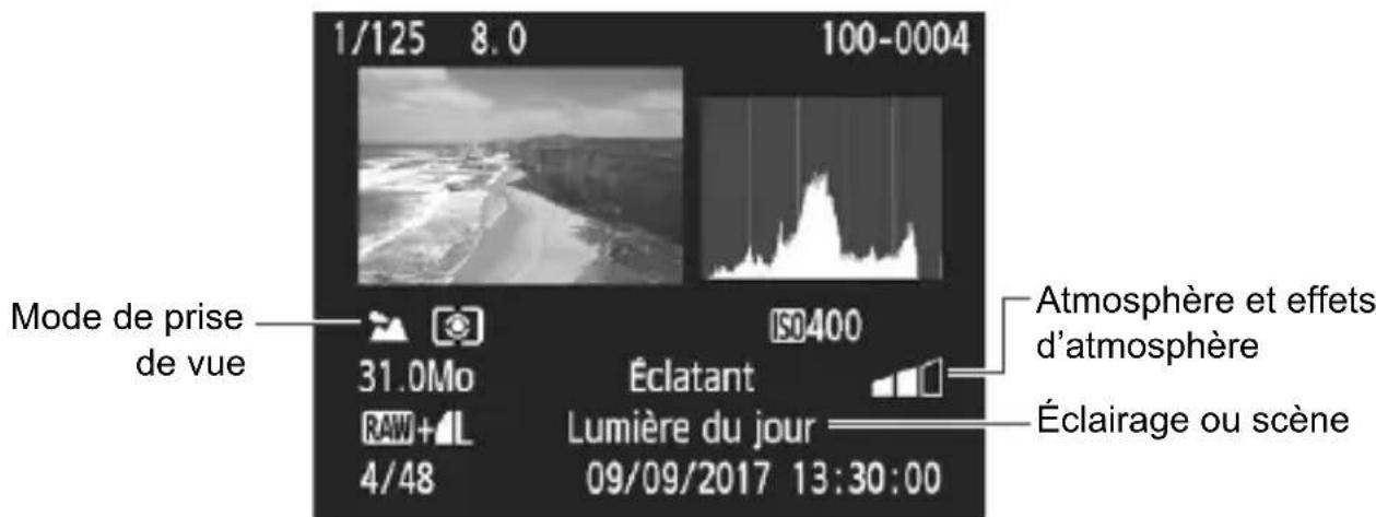 CANON EOS Rebel T7 - Exemple de photo prise dans un mode de la zone élémentaire - 1