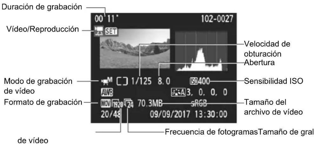CANON EOS Rebel T7 - Ejempio de pantalla de informacion de video - 1