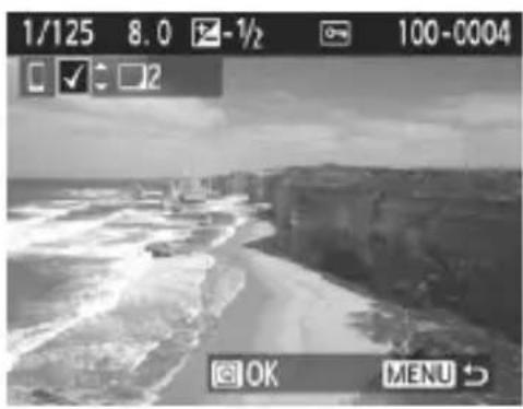 CANON EOS Rebel T7 - Presione <  <  > - 1