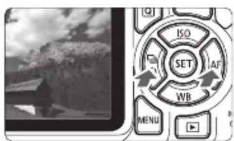 CANON EOS Rebel T7 - Play back the image. - 1
