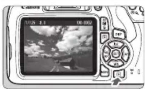CANON EOS Rebel T7 - Visualización de varias imagenes en una pantalla (Visualización de indices) - 1