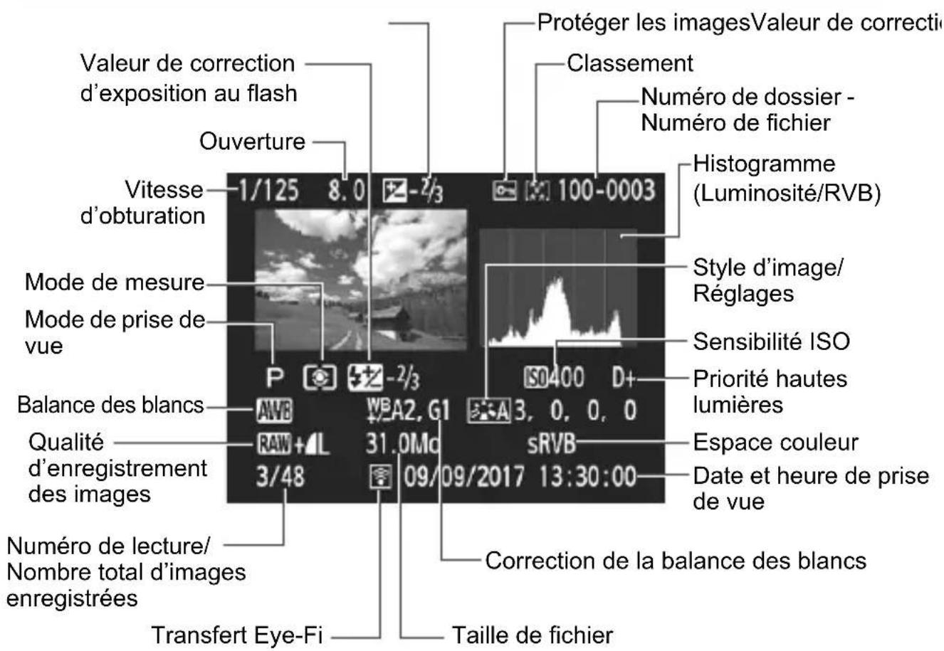 CANON EOS Rebel T7 - Exemple de photo prise dans un mode de la zone de création - 1