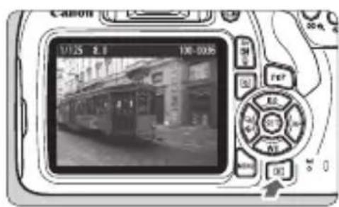 CANON EOS Rebel T7 - ImagePlayback - 1