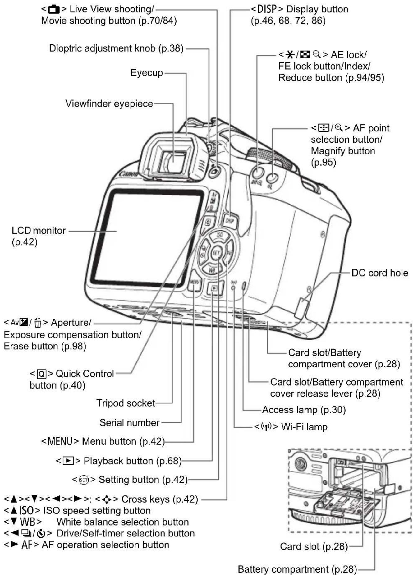 CANON EOS Rebel T7 - Nomenclature - 4