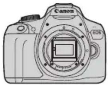 CANON EOS Rebel T7 - Lista de comprobación de elementos - 1
