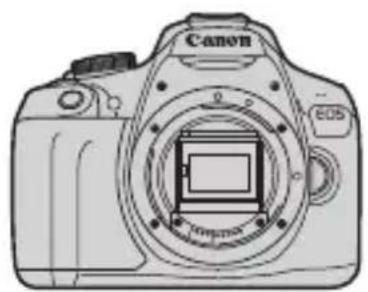 CANON EOS Rebel T7 - Liste de vérification des éléments - 1