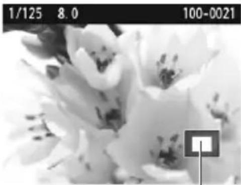 CANON EOS Rebel T7 - Magnify the image. - 1