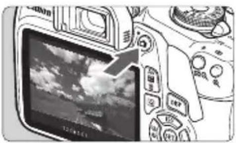 CANON EOS Rebel T7 - Effectuez la mise au point sur le sujet. - 1