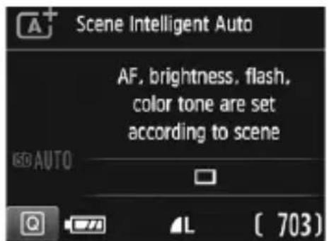 CANON EOS Rebel T7 - Basic Shooting and Image Playback - 1
