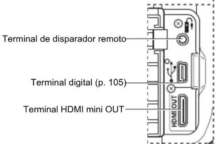 CANON EOS Rebel T7 - Nomenclatura - 3